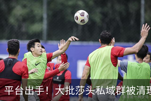 平台出手！大批莎头私域群被清理，饭圈乱象整治，全网纷纷叫好